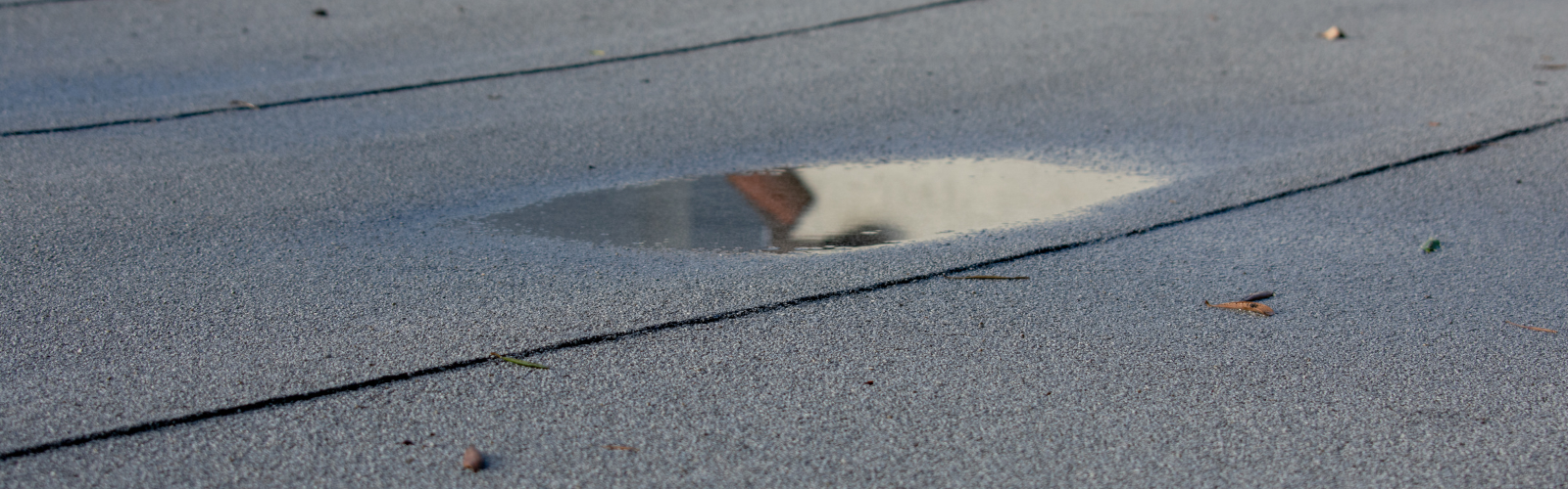 Ponding rainwater on flat roof after rain