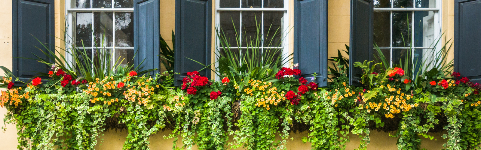 window boxes with colorful flowers.